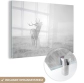 MuchoWow® Glasschilderij 60x40 cm - Schilderij acrylglas - Brullend hert in de mist - zwart wit - Foto op glas - Schilderijen