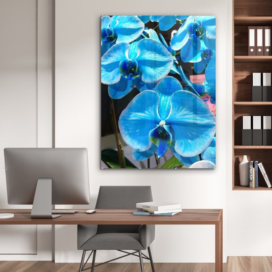 MuchoWow® Peinture sur Verre - Orchidées Bleues avec une couleur pénétrante - 90x120 cm - Peintures sur Verre Acrylique - Photo sur Glas