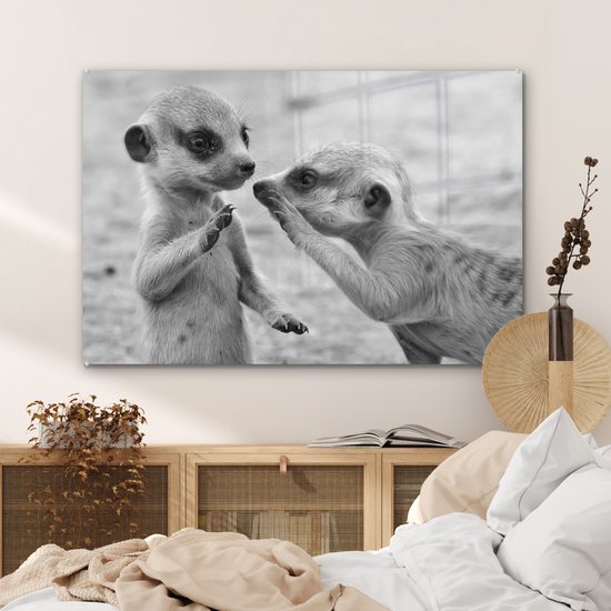 MuchoWow® Peinture sur verre 120x80 cm - Peinture acrylique sur verre - Deux suricates - noir et blanc - Photo sur verre - Peintures