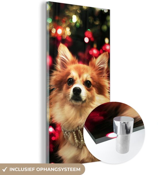 MuchoWow® Glasschilderij 40x80 cm - Schilderij acrylglas - Hond tijdens kerst - Foto op glas - Schilderijen