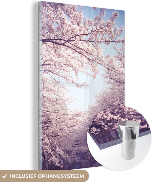 MuchoWow® Glasschilderij 20x30 cm - Schilderij acrylglas - Sakura bomen in het zonlicht - Foto op glas - Schilderijen