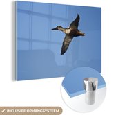 MuchoWow® Glasschilderij 60x40 cm - Schilderij acrylglas - Eend - Lucht - Blauw - Foto op glas - Schilderijen