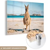 MuchoWow® Glasschilderij 90x60 cm - Schilderij acrylglas - Kangoeroe - Strand - Australië - Foto op glas - Schilderijen