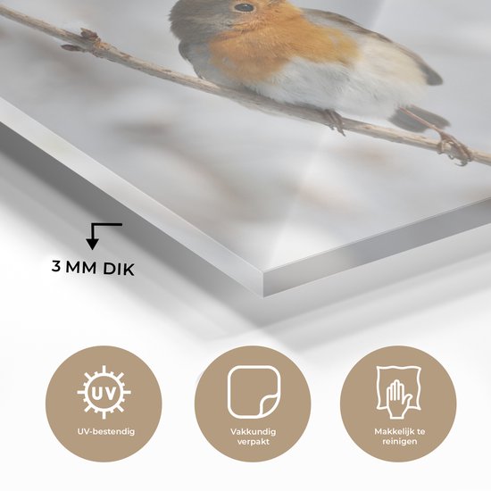 Robin sur une fine branche en plexiglas d'hiver 30x20 cm - petit - Tirage photo sur Glas (décoration murale en plexiglas)