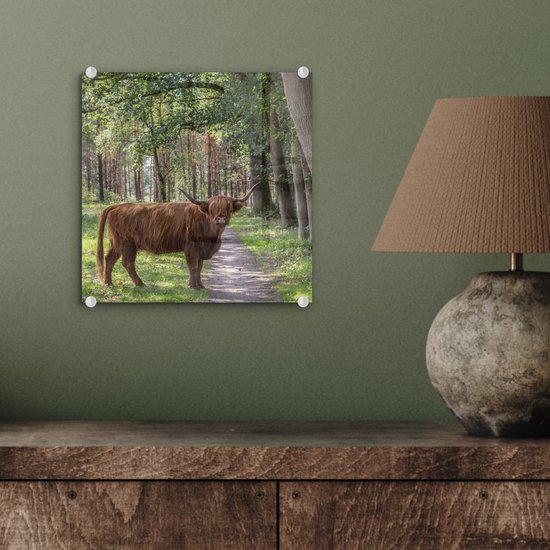 MuchoWow® Peinture sur verre 20x20 cm - Peinture sur verre acrylique - Forêt - Highland écossais - Lumière - Photo sur verre - Peintures