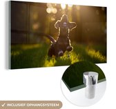 MuchoWow® Glasschilderij 80x40 cm - Schilderij acrylglas - Puppy rent in het gras - Foto op glas - Schilderijen