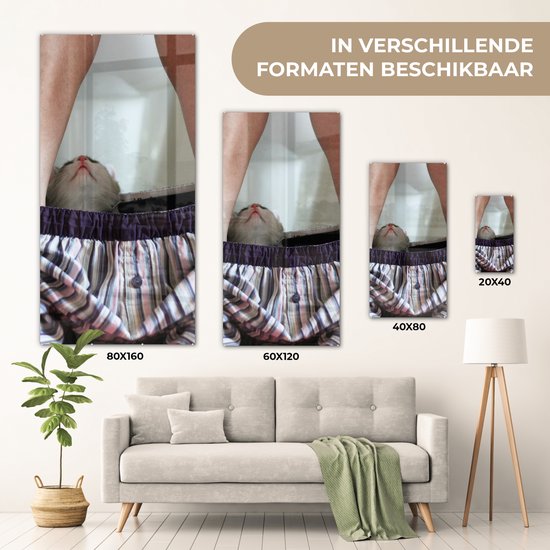 Peinture sur Verre - Chat - Pantalon - Toilettes - 40x80 cm - Peintures sur Verre Peintures - Photo sur Glas