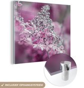 MuchoWow® Glasschilderij 90x90 cm - Schilderij acrylglas - Close-up bevroren hortensia bloemen - Foto op glas - Schilderijen