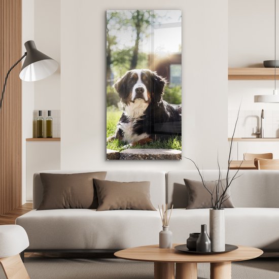 MuchoWow® Peinture sur verre 60x120 cm - Peinture sur verre - Rayons de soleil le long du bouvier Berner - Photo sur verre acrylique - Peintures