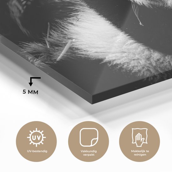 MuchoWow® Peinture sur verre 120x60 cm - Peinture sur verre - Pandas - Zwart - Wit - Photo sur verre acrylique - Peintures
