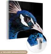MuchoWow® Glasschilderij 90x90 cm - Schilderij acrylglas - Pauw - Dier - Blauw - Foto op glas - Schilderijen