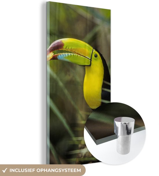 MuchoWow® Peinture sur Verre - Toucan - Feuilles - Branche - 60x120 cm - Peintures sur Verre Acrylique - Photo sur Glas
