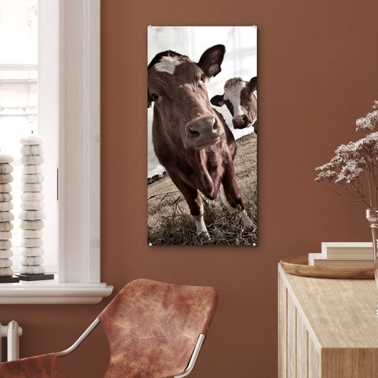 MuchoWow® Peinture sur verre 40x80 cm - Peinture sur verre acrylique - Tirage photo vaches sur un champ sépia - Photo sur verre - Peintures