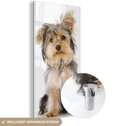 MuchoWow® Glasschilderij 20x40 cm - Schilderij acrylglas - Portret van Yorkshire terrier - Foto op glas - Schilderijen