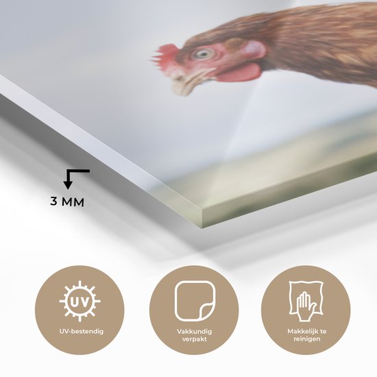 Peinture sur Verre - Gros plan de deux poulets - 20x20 cm - Peintures sur Verre Peintures - Photo sur Glas