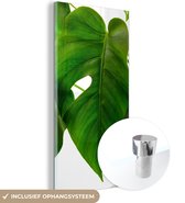 MuchoWow® Glasschilderij 20x40 cm - Schilderij acrylglas - Een groen en botanisch blad op een witte achtergrond - Foto op glas - Schilderijen