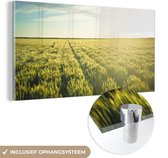 80 cm x 40 cm