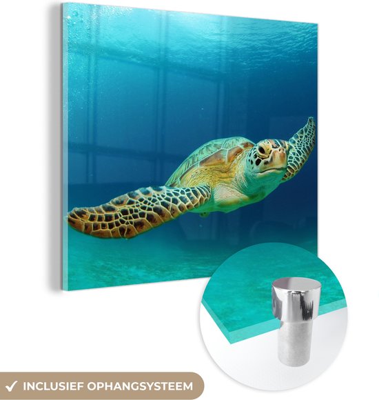 MuchoWow® Glasschilderij 20x20 cm - Schilderij acrylglas - Close-up foto van groene zeeschildpad - Foto op glas - Schilderijen