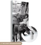 MuchoWow® Glasschilderij 40x80 cm - Schilderij acrylglas - Drinkende baby olifant met zijn moeder in zwart-wit - Foto op glas - Schilderijen