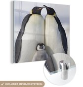 MuchoWow® Glasschilderij 50x50 cm - Schilderij acrylglas - Pinguïn - Gezin - Sneeuw - Foto op glas - Schilderijen