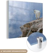MuchoWow® Glasschilderij 90x90 cm - Schilderij acrylglas - Berggeit bij een klif fotoprint - Foto op glas - Schilderijen