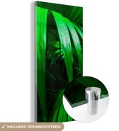 MuchoWow® Glasschilderij 80x160 cm - Schilderij acrylglas - Palmbladen in de jungle - Foto op glas - Schilderijen