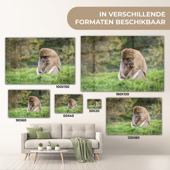 MuchoWow® Peinture sur verre 120x80 cm - Peinture sur verre acrylique - Singe - Jeune - Herbe - Photo sur verre - Peintures