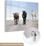 MuchoWow® Glasschilderij 40x30 cm - Schilderij acrylglas - Ezels op de weg - Foto op glas - Schilderijen