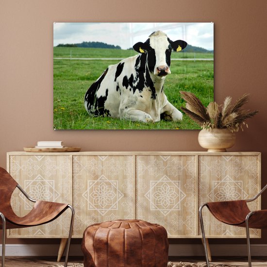Vache frisonne au repos sur un pâturage vert Plexiglas 120x80 cm - Tirage photo sur Glas (décoration murale en plexiglas)
