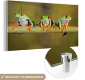 MuchoWow® Peinture sur verre 120x60 cm - Peinture sur verre - Grenouilles - Branche - Photo sur verre acrylique - Peintures