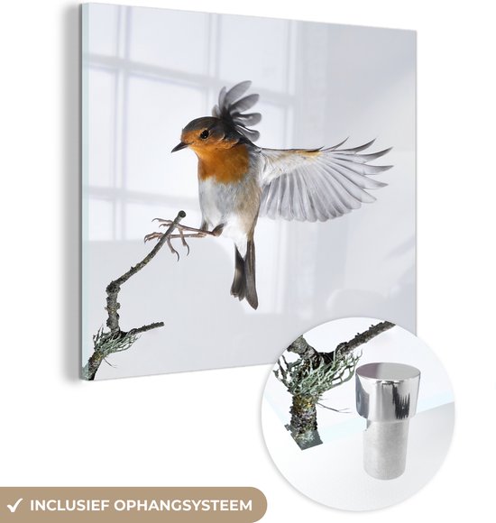 MuchoWow® Glasschilderij 90x90 cm - Schilderij acrylglas - Close-up vogel - Foto op glas - Schilderijen