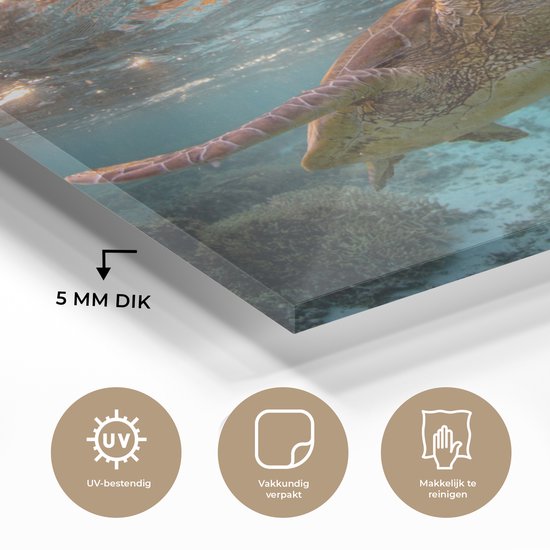MuchoWow® Peinture sur Verre - Mer - Tortue - Couleurs - 160x120 cm - Peintures Acrylique - Photo sur Glas