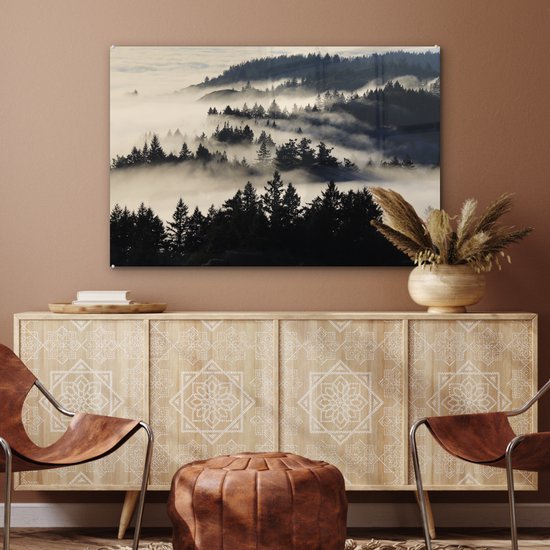 MuchoWow® Peinture sur Verre - Illustration Zwart& Blanc de Redwood dans le Brouillard - 90x60 cm - Peintures sur Verre Acrylique - Photo sur Glas
