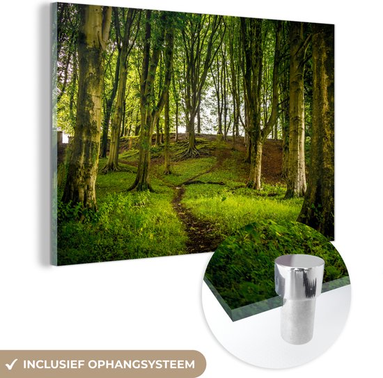 MuchoWow® Glasschilderij 30x20 cm - Schilderij acrylglas - Donkerbruin pad door het bos - Foto op glas - Schilderijen