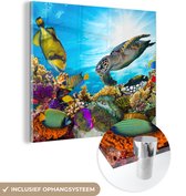 MuchoWow® Glasschilderij 20x20 cm - Schilderij acrylglas - Schildpad - Zee - Koraal - Foto op glas - Schilderijen