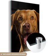 MuchoWow® Glasschilderij 60x80 cm - Schilderij acrylglas - Hond - Huisdieren - Portret - Foto op glas - Schilderijen