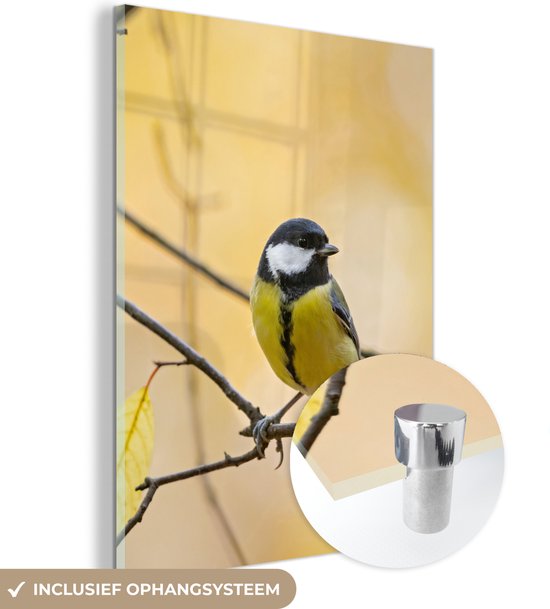 MuchoWow - Glasschilderij - Vogel - Koolmees - Geel - Takken - Blad - Acrylglas - Foto op glas - 30x40 cm - Glasschilderij vogels - Wanddecoratie - Glasschilderij natuur