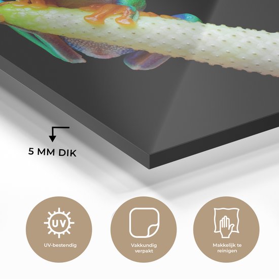 MuchoWow® Peinture sur verre 180x120 cm - Peinture sur verre acrylique - Grenouille - Animaux - Plante - Photo sur verre - Peintures