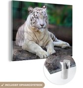 MuchoWow® Glasschilderij 160x120 cm - Schilderij acrylglas - Witte tijger - Boomstam - Bos - Foto op glas - Schilderijen