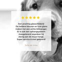 Product afbeelding  8