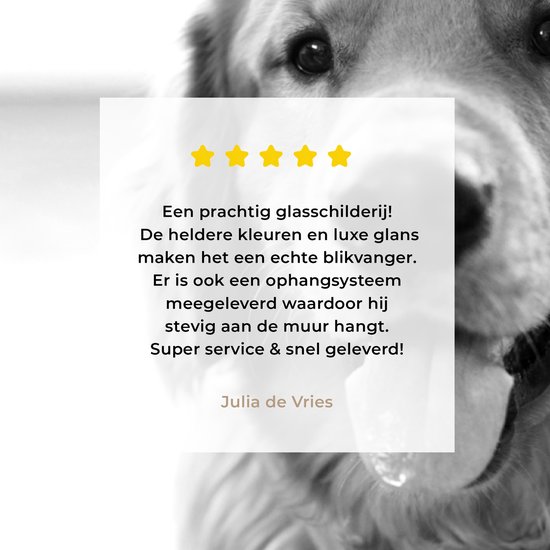 ® Glasschilderij 180x120 cm - Schilderij acrylglas - Portret van een super mooie Golden Retriever - Foto op glas - Muurdecoratie woonkamer - Wanddecoratie slaapkamer - Schilderijen