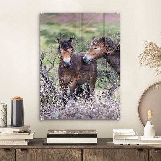 MuchoWow® Glasschilderij 30x40 cm - Schilderij acrylglas - Paarden in het Nationaal park Exmoor in Engeland - Foto op glas - Schilderijen