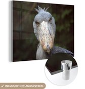 MuchoWow® Peinture sur verre 40x30 cm - Peinture sur verre acrylique - Regard avec une cigogne à bec en sabot - Photo sur verre - Peintures