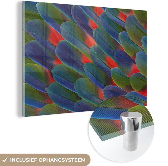 MuchoWow® Glasschilderij 60x40 cm - Schilderij acrylglas - Detail veren papegaai - Foto op glas - Schilderijen