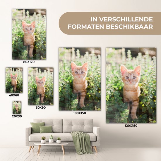 MuchoWow® Peinture sur verre 100x150 cm - Peinture sur verre acrylique - Un portrait d'un chaton dans les buissons - Photo sur verre - Peintures