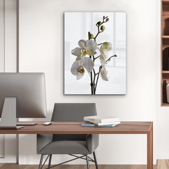 Peinture sur Verre - Orchidée Witte - 60x80 cm - Peintures sur Verre Peintures - Photo sur Glas
