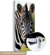 MuchoWow® Glasschilderij 40x80 cm - Schilderij acrylglas - Close-up zebra - Foto op glas - Schilderijen