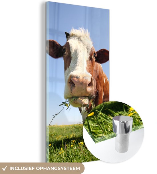 Peinture sur Verre - Vache - Animal - Fleurs - 20x40 cm - Peintures sur Verre Peintures - Photo sur Glas