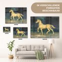 Product afbeelding  9