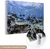 MuchoWow® Glasschilderij 60x40 cm - Schilderij acrylglas - Koraal in een blauwe oceaan - Foto op glas - Schilderijen